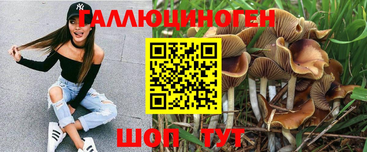 Галлюциногенные грибы Cubensis  Псилоцибиновые грибы Psilocybe  Вход с VPN  купить  цена  Черкесск 
